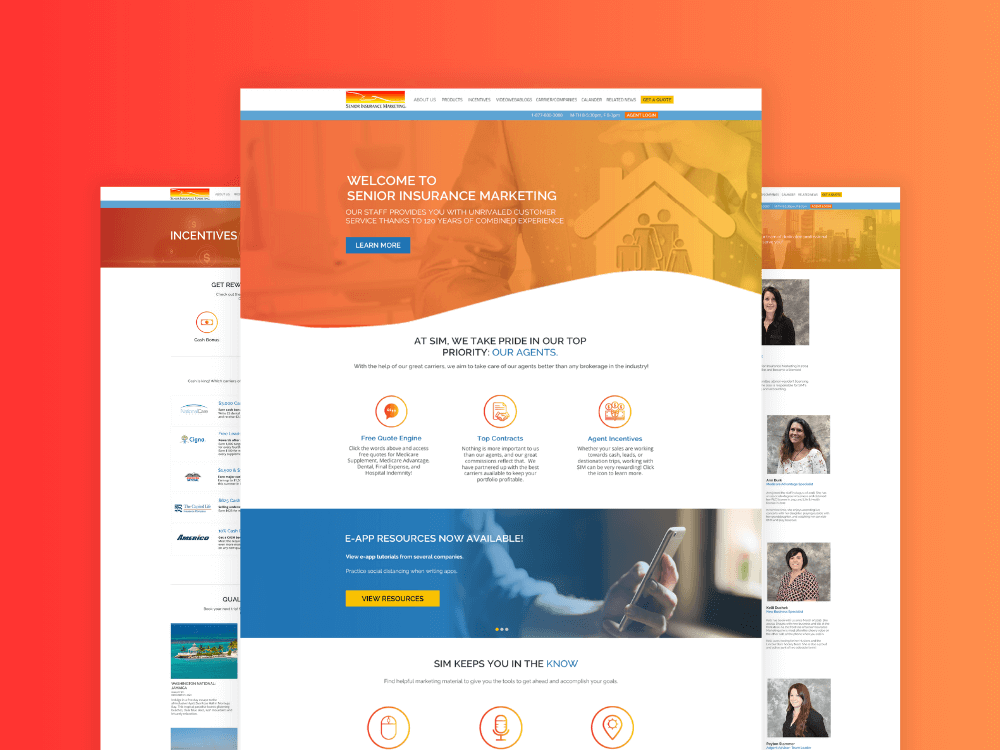 Senior Insurance Marketing